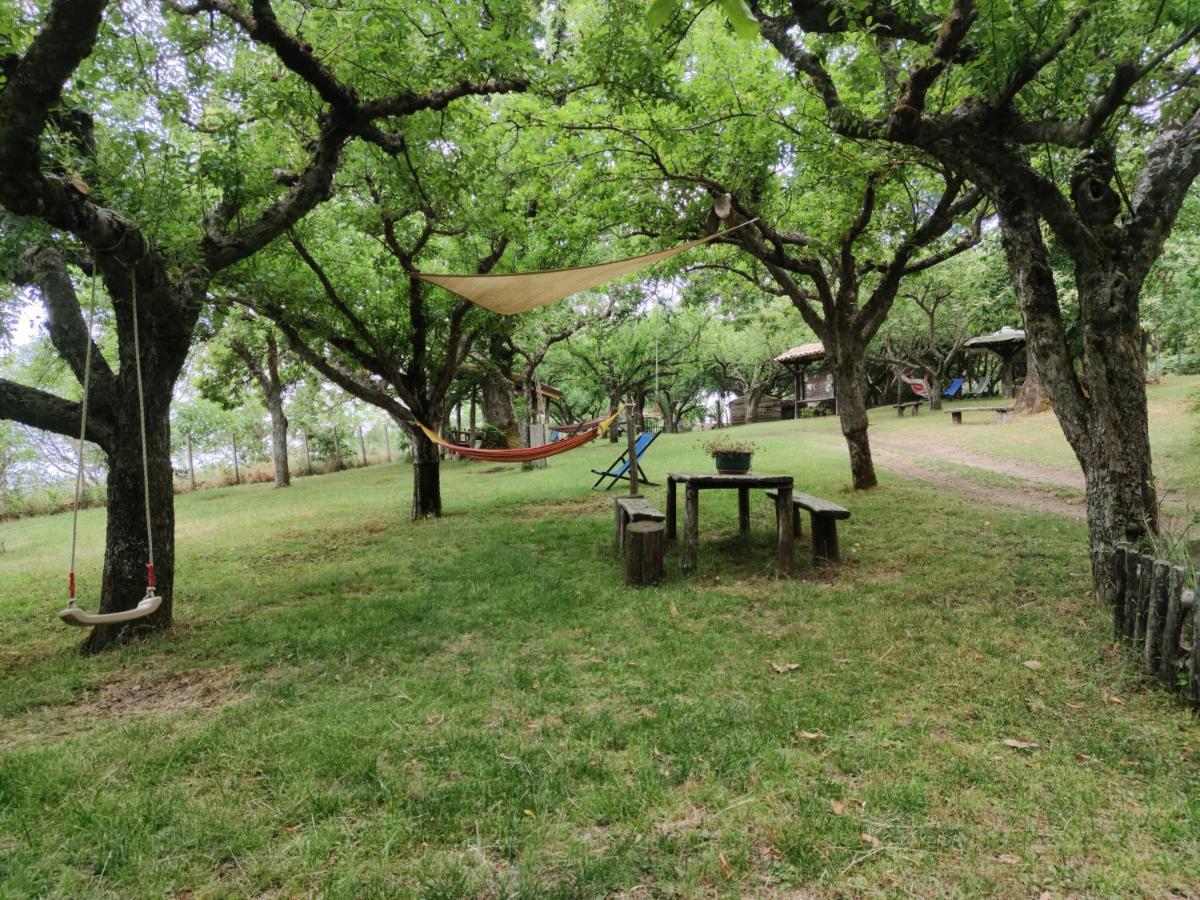 Sersale Agriturismo Carrozzino מראה חיצוני תמונה