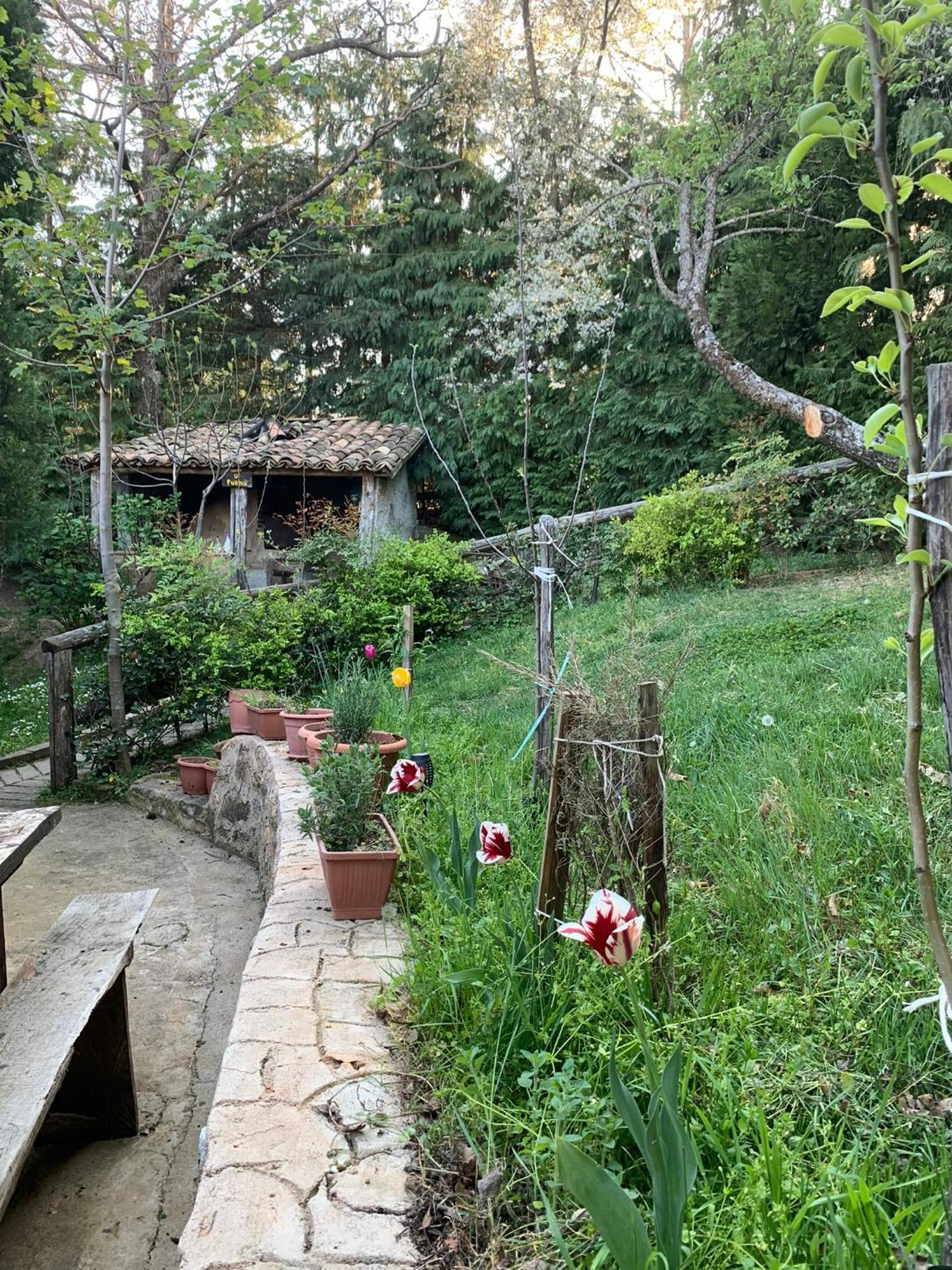 Sersale Agriturismo Carrozzino מראה חיצוני תמונה