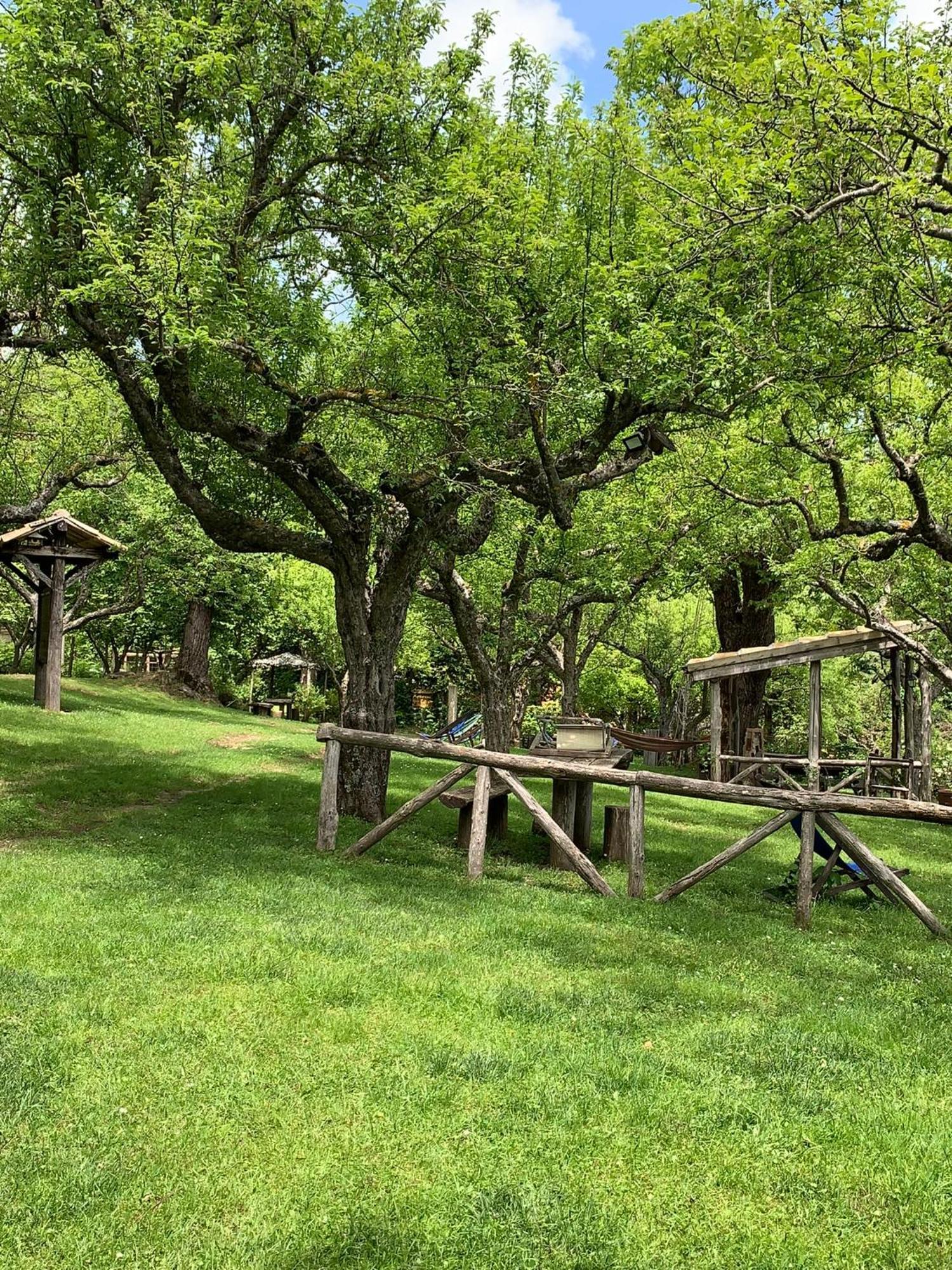 Sersale Agriturismo Carrozzino מראה חיצוני תמונה