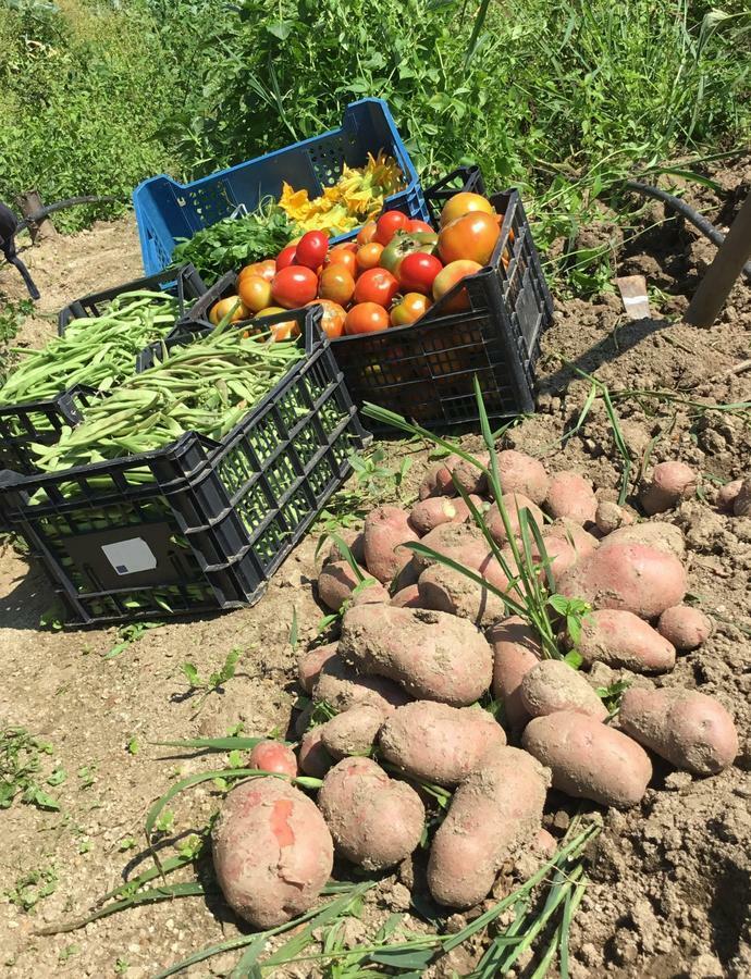 Sersale Agriturismo Carrozzino מראה חיצוני תמונה